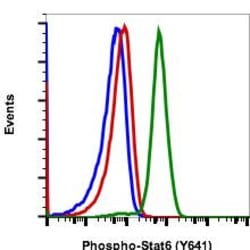 Invitrogen Phospho-Stat6 (Tyr641) Recombinant Rabbit Monoclonal Antibody