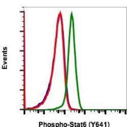 Invitrogen Phospho-Stat6 (Tyr641) Recombinant Rabbit Monoclonal Antibody
