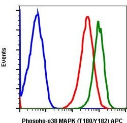 Phospho-p38 MAPK alpha (Thr180, Tyr182) Recombinant Rabbit Monoclonal Antibody
