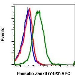 Phospho-ZAP70/Syk (Tyr493, Tyr526) Rabbit anti-Human, Mouse, APC, Clone:
