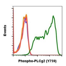 Invitrogen Phospho-PLCg2 (Tyr759) Recombinant Rabbit Monoclonal Antibody