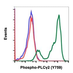 Invitrogen Phospho-PLCg2 (Tyr759) Recombinant Rabbit Monoclonal Antibody
