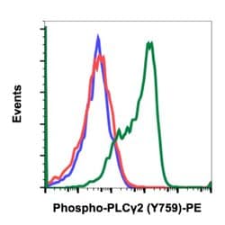 Invitrogen Phospho-PLCg2 (Tyr759) Recombinant Rabbit Monoclonal Antibody