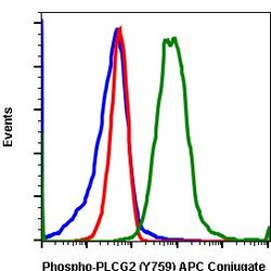 Invitrogen Phospho-PLCg2 (Tyr759) Recombinant Rabbit Monoclonal Antibody