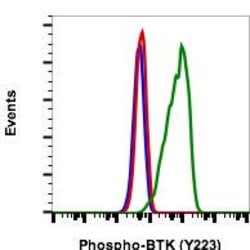 Invitrogen Phospho-Btk (Tyr223) Recombinant Rabbit Monoclonal Antibody