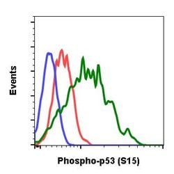 Phospho-p53 (Ser15) Recombinant Rabbit Monoclonal Antibody (P53S15-1C11),