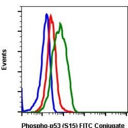 Invitrogen Phospho-p53 (Ser15) Recombinant Rabbit Monoclonal Antibody (P53S15-1C11),