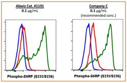 Phospho-S6 Ribosomal Protein (Ser235, Ser236) Recombinant Rabbit Monoclonal