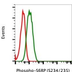 Invitrogen Phospho-S6 Ribosomal Protein (Ser235, Ser236) Recombinant Rabbit
