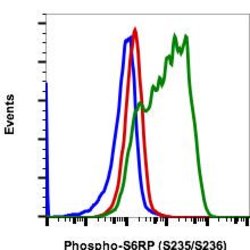 Invitrogen Phospho-S6 Ribosomal Protein (Ser235, Ser236) Recombinant Rabbit