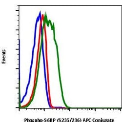 Invitrogen Phospho-S6 Ribosomal Protein (Ser235, Ser236) Recombinant Rabbit