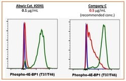 Invitrogen Phospho-4EBP1 (Thr37, Thr46) Recombinant Rabbit Monoclonal Antibody