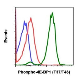 Invitrogen Phospho-4EBP1 (Thr37, Thr46) Recombinant Rabbit Monoclonal Antibody