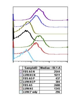 Invitrogen Phospho-4EBP1 (Thr37, Thr46) Recombinant Rabbit Monoclonal Antibody