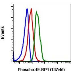 Invitrogen Phospho-4EBP1 (Thr37, Thr46) Recombinant Rabbit Monoclonal Antibody