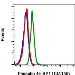 Invitrogen Phospho-4EBP1 (Thr37, Thr46) Recombinant Rabbit Monoclonal Antibody