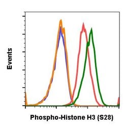 Invitrogen Phospho-Histone H3 (Ser28) Recombinant Rabbit Monoclonal Antibody
