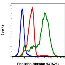 Invitrogen Phospho-Histone H3 (Ser28) Recombinant Rabbit Monoclonal Antibody