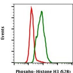 Invitrogen Phospho-Histone H3 (Ser28) Recombinant Rabbit Monoclonal Antibody