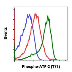 Invitrogen Phospho-ATF2 (Thr71) Recombinant Rabbit Monoclonal Antibody