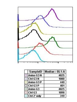Invitrogen Phospho-ATF2 (Thr71) Recombinant Rabbit Monoclonal Antibody