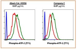 Invitrogen Phospho-ATF2 (Thr71) Recombinant Rabbit Monoclonal Antibody