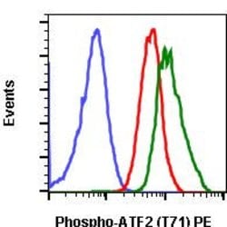 Phospho-ATF2 (Thr71) Recombinant Rabbit Monoclonal Antibody (ATF2T71-G3),