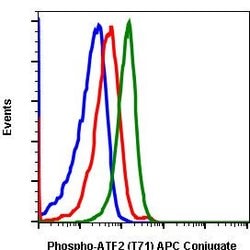 Invitrogen Phospho-ATF2 (Thr71) Recombinant Rabbit Monoclonal Antibody