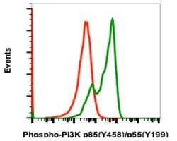 Invitrogen Phospho-PI3K p85/p55 (Tyr458, Tyr199) Recombinant Rabbit Monoclonal