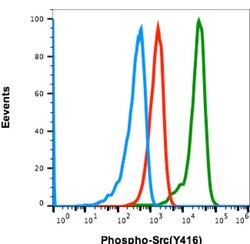 Phospho-Src (Tyr416) Recombinant Rabbit Monoclonal Antibody (SrcY416-C4),