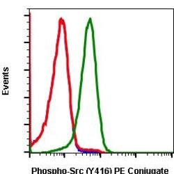 Invitrogen Phospho-Src (Tyr416) Recombinant Rabbit Monoclonal Antibody