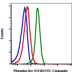 Phospho-Src (Tyr416) Recombinant Rabbit Monoclonal Antibody (SrcY416-C4),
