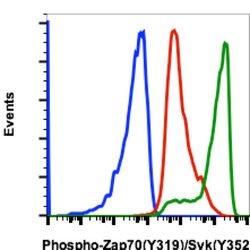 Invitrogen Phospho-ZAP70/Syk (Tyr319, Tyr352) Recombinant Rabbit Monoclonal