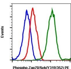Invitrogen Phospho-ZAP70/Syk (Tyr319, Tyr352) Recombinant Rabbit Monoclonal Antibody (Zap70Y319-A3), PE, Invitrogen 10 &mu;g | Buy Online | Invitrogen&trade; | Fisher Scientific