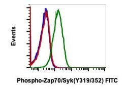 Invitrogen Phospho-ZAP70/Syk (Tyr319, Tyr352) Recombinant Rabbit Monoclonal Antibody (Zap70Y319-A3), FITC, Invitrogen 10 Tests | Buy Online | Invitrogen&trade; | Fisher Scientific