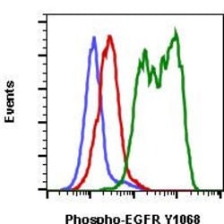 Invitrogen Phospho-EGFR (Tyr1068) Recombinant Rabbit Monoclonal Antibody