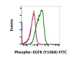 Invitrogen Phospho-EGFR (Tyr1068) Recombinant Rabbit Monoclonal Antibody (EGFRY1068-E5), FITC 10 Tests | Buy Online | Invitrogen&trade; | Fisher Scientific
