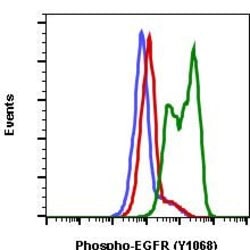 Invitrogen Phospho-EGFR (Tyr1068) Recombinant Rabbit Monoclonal Antibody