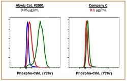 Invitrogen Phospho-CrkL (Tyr207) Recombinant Rabbit Monoclonal Antibody