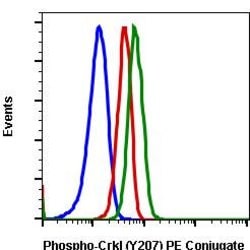 Invitrogen Phospho-CrkL (Tyr207) Recombinant Rabbit Monoclonal Antibody