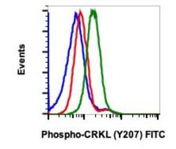 Invitrogen Phospho-CrkL (Tyr207) Recombinant Rabbit Monoclonal Antibody (CrkLY207-G4), FITC, Invitrogen 10 Tests | Buy Online | Invitrogen&trade; | Fisher Scientific