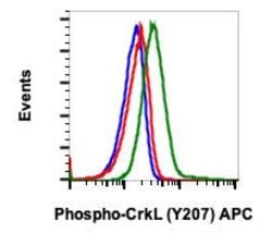 Invitrogen Phospho-CrkL (Tyr207) Recombinant Rabbit Monoclonal Antibody