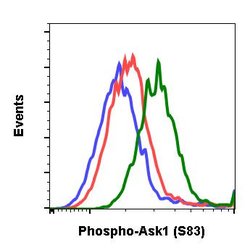 Invitrogen Phospho-Ask1 (Ser83) Recombinant Rabbit Monoclonal Antibody
