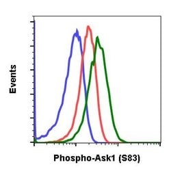 Invitrogen Phospho-Ask1 (Ser83) Recombinant Rabbit Monoclonal Antibody