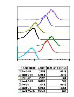 Invitrogen Phospho-Ask1 (Ser83) Recombinant Rabbit Monoclonal Antibody