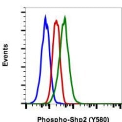 Invitrogen Phospho-Shp2 (Tyr580) Recombinant Rabbit Monoclonal Antibody