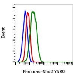 Invitrogen Phospho-Shp2 (Tyr580) Recombinant Rabbit Monoclonal Antibody