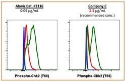 Invitrogen Phospho-Chk2 (Thr68) Recombinant Rabbit Monoclonal Antibody