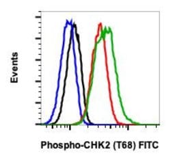 Invitrogen Phospho-Chk2 (Thr68) Recombinant Rabbit Monoclonal Antibody