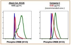 Invitrogen Phospho-CREB (Ser133) Recombinant Rabbit Monoclonal Antibody
